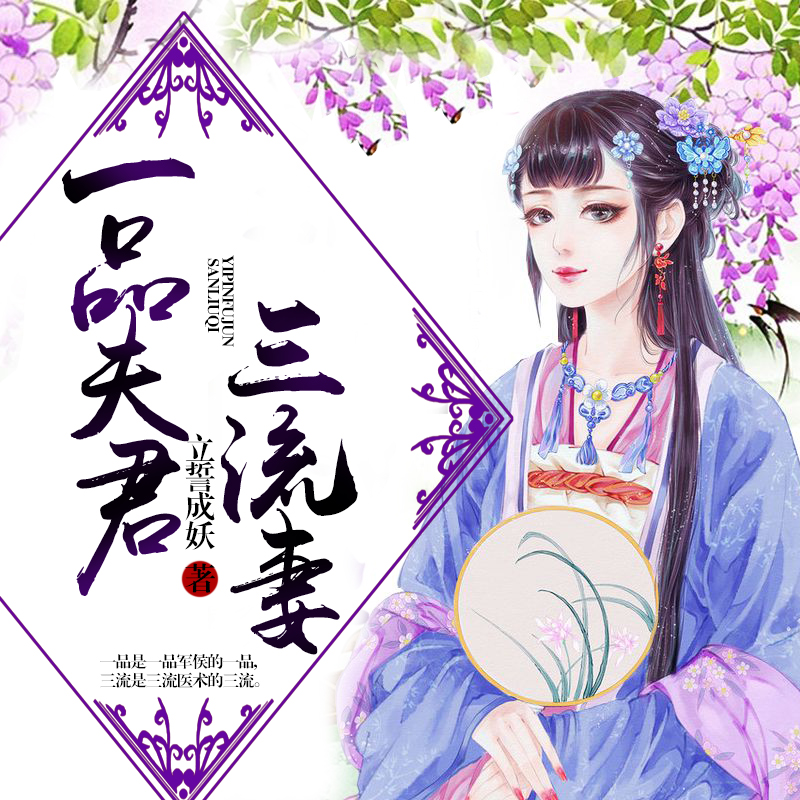 一品夫君三流妻