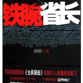 铁腕省长_矿难引发的官场地震